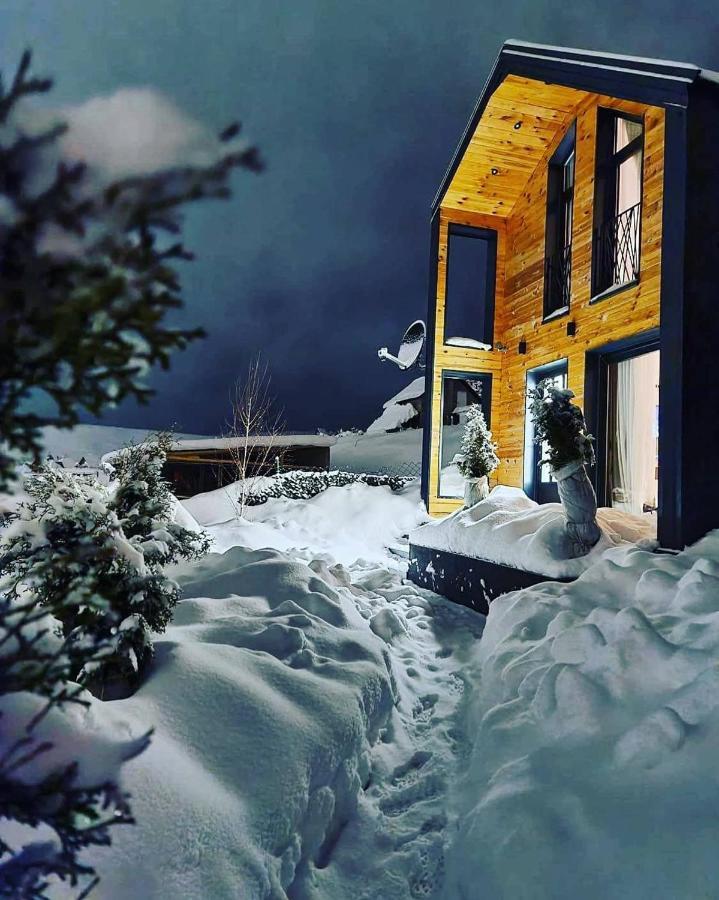 Vista Durmitor - Luxury Cabin Žabljak Εξωτερικό φωτογραφία